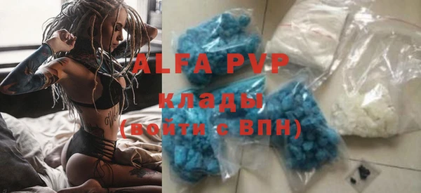 ПСИЛОЦИБИНОВЫЕ ГРИБЫ Козловка