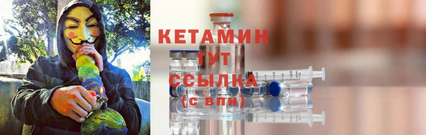 ПСИЛОЦИБИНОВЫЕ ГРИБЫ Козловка