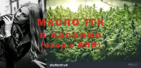 ПСИЛОЦИБИНОВЫЕ ГРИБЫ Козловка
